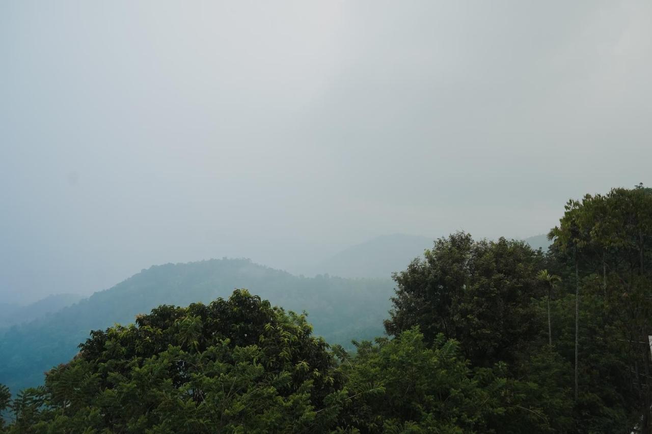 Sprise Munnar Resort And Spa Kültér fotó